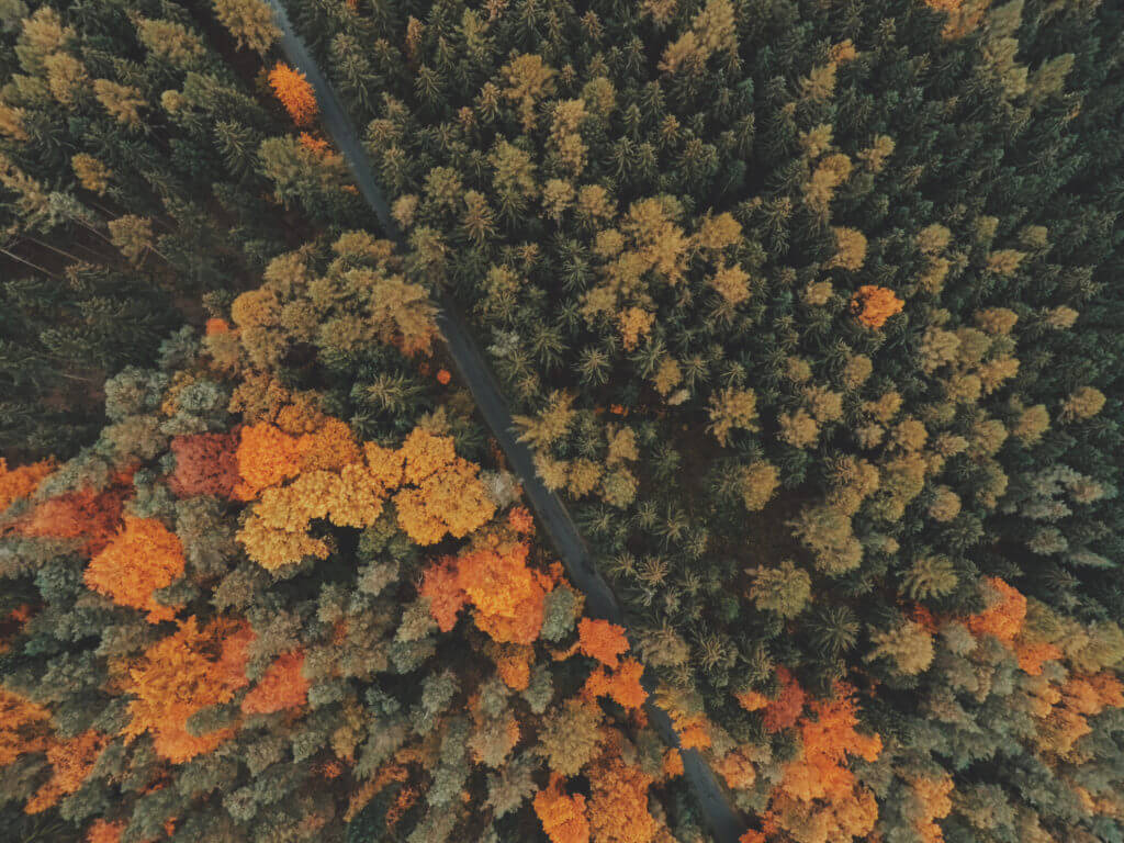 September Social Media News