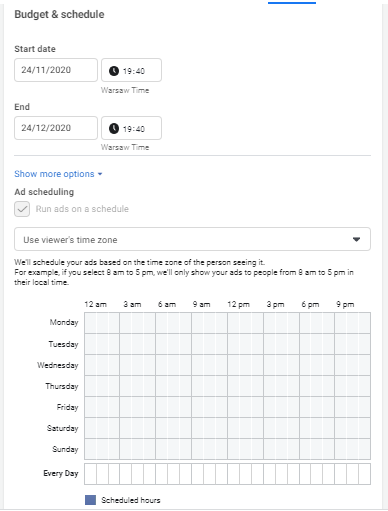 How to set up budget and schedule for FB campaign